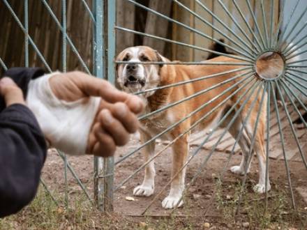 Joliet, IL personal injury lawyer