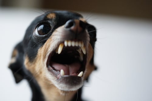 Joliet personal injury lawyer